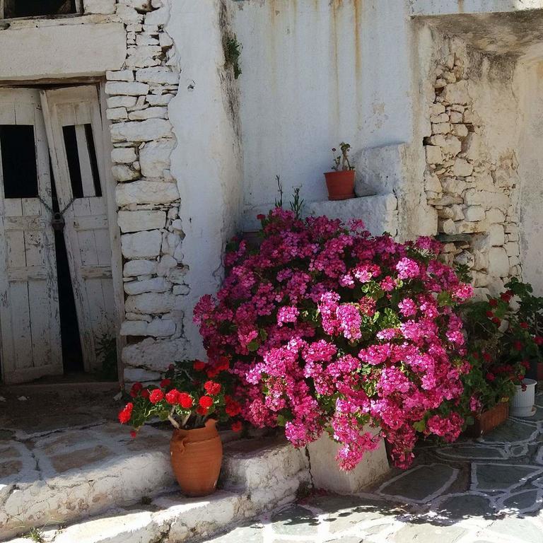 Artemis Rooms Folégandros Extérieur photo